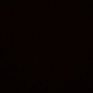 Meet your Posher, Dawson